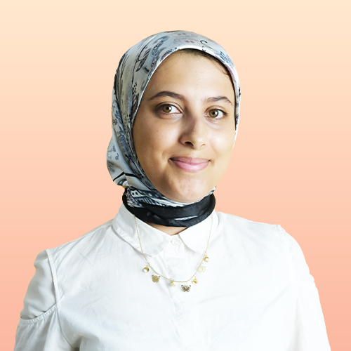 الأستاذ 2